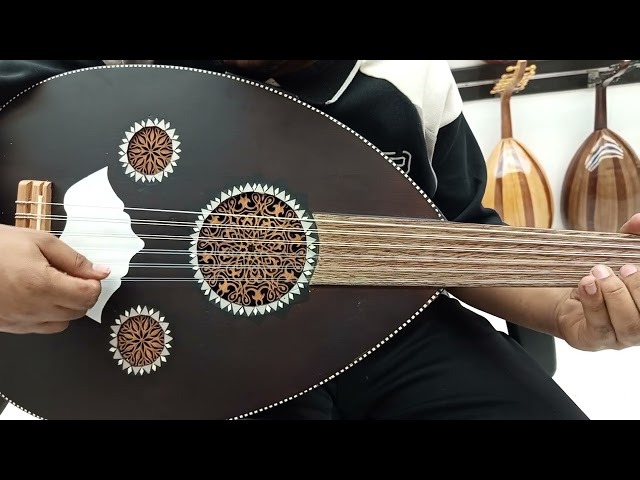 آلة العود الكهربائي الموسيقية العربي الفاخر