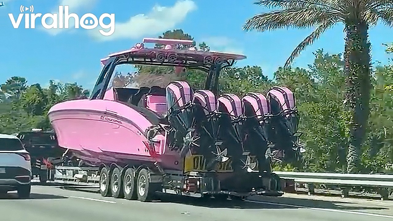 Bright Pink Boat Turns Heads on Florida Highway || ViralHog
