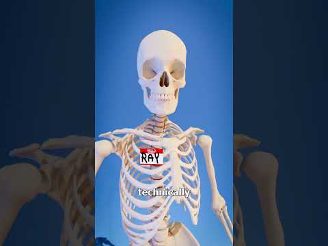 The Ship Of Theseus Paradox 😵‍💫