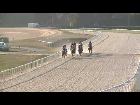 2019.03.31. 09. futam - MÁRCIUSI HENDIKEP (IV.o.) (szintetikus pálya)