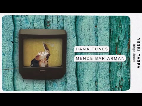 Dana Tunes - Mende bar arman // ТЕКСТ