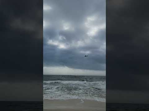 Plane flying near us at the National Seashore!