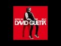 Download Nothing But The Beat Album 2 CD (David Guetta)