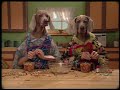 Sesame Street Wegman Dogs Peanut Butter And Jelly Sandwiches 1999