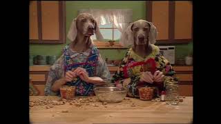 Sesame Street: Wegman Dogs- Peanut Butter and Jelly Sandwiches (1999)