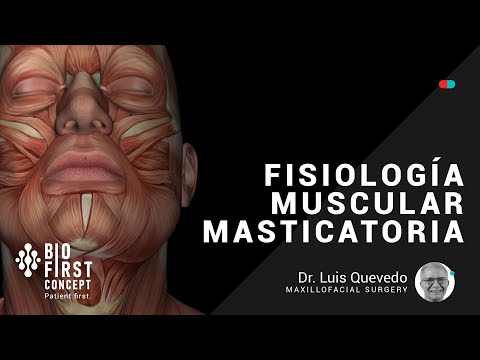 Fisiología Muscular Masticatoria [ATM Series 05]