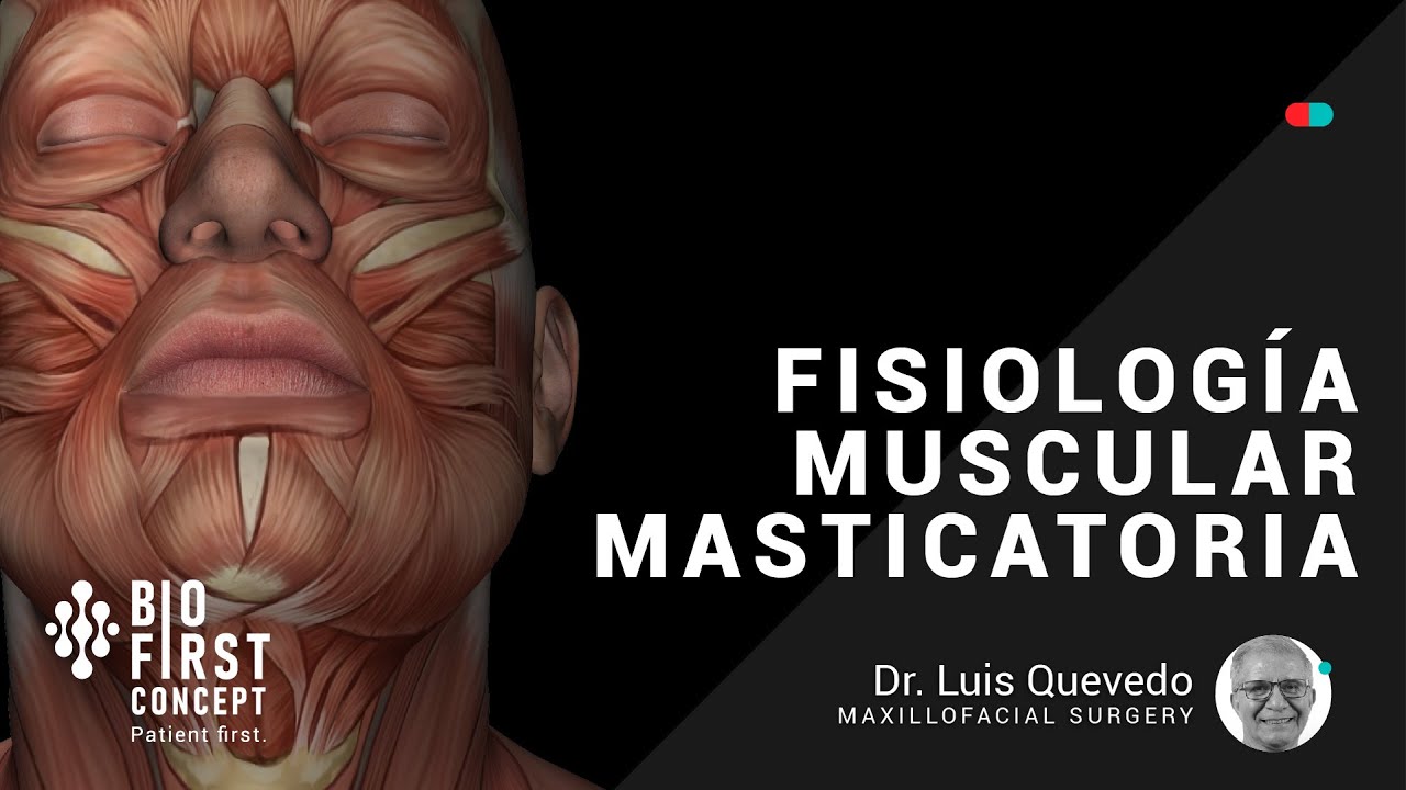 Fisiología Muscular Masticatoria [ATM Series 05]