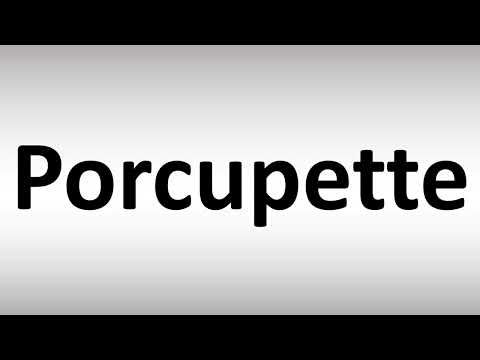 How to Pronounce Porcupette