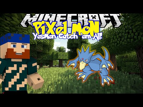 Catching them ALL DAY! Pixelmon BRAH!