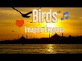Imagine Dragons- Birds Imagine Dragons- Birds