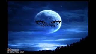 Leonard Nimoy Lost in the Stars