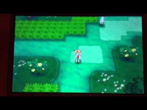 comment trouver tarsal dans pokemon saphir