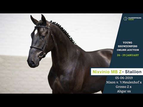 Nixvinio MB Z - Young Showjumpers Online Auction - Paardenveilingonline.com