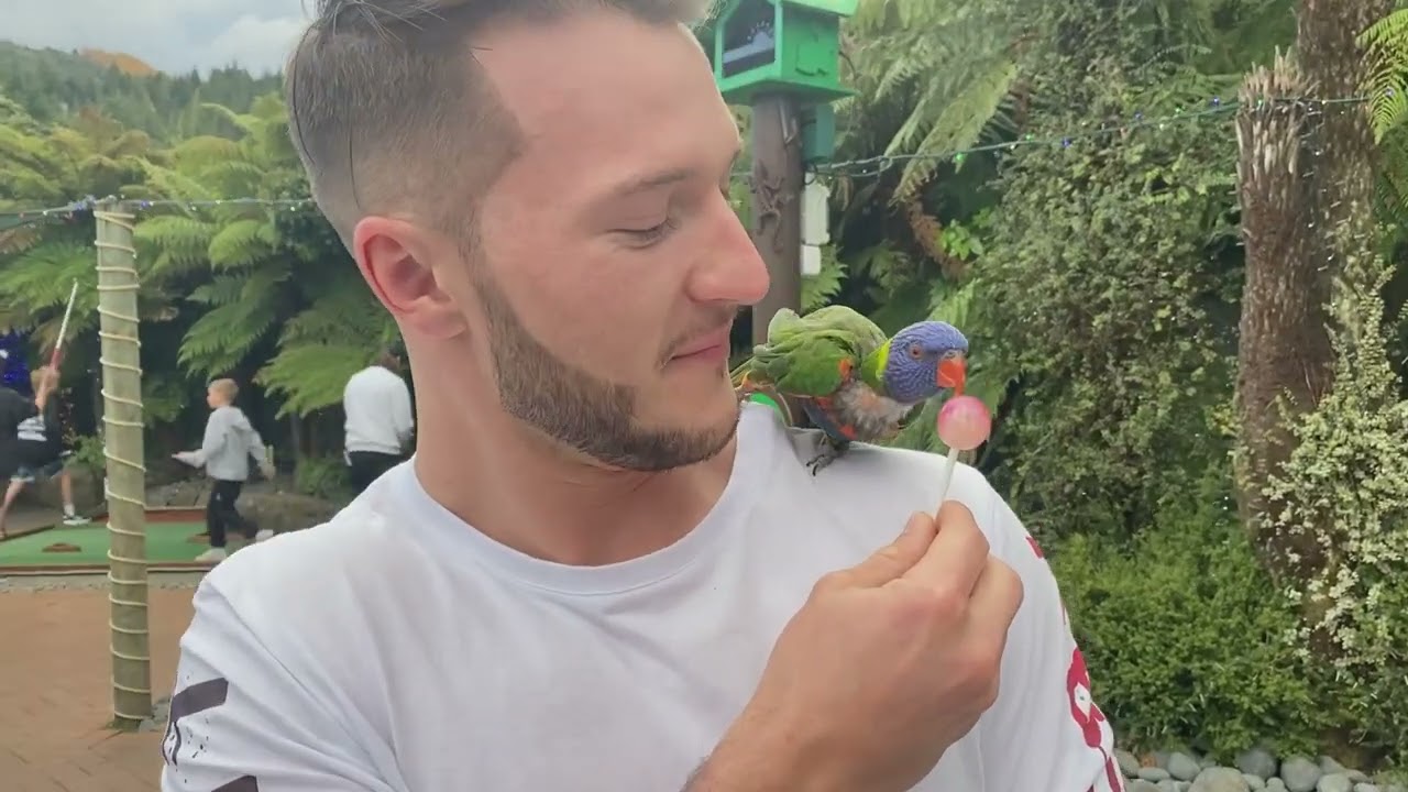 Discover a fascinating glimpse of Mini Golf Rotorua.