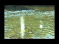 Enter The Worship Circle - Today