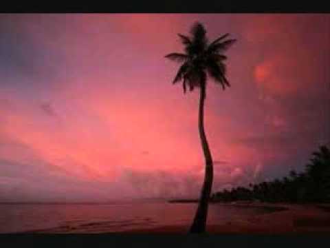 Hawaiian 505 - I Wanna Be Her Man