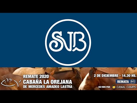 REMATE LA OREJANA - SAENZ VALIENTE BULLRICH