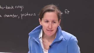 13. Protein Degradation 2