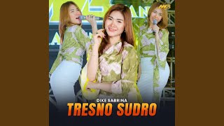 Download lagu Tresno Sudro mp3