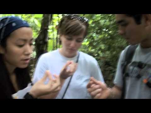 Costa Rica UGA Study Abroad