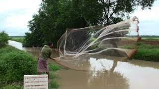 preview picture of video 'Net Fishing in Countryside Stream - Suong, Cambodia'