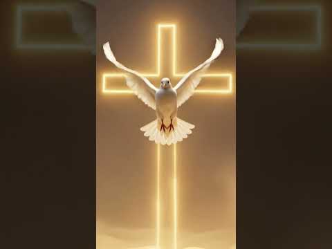 World is Waking Up! ✝️🕊️ #biblicaltruth #faith #hope