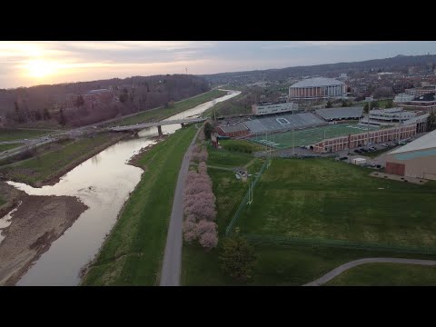 Cherry Blossoms Ohio University Athens Ohio March 30 2022