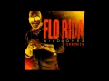 Florida feat Sia - Wild ones (Basto Remix) 