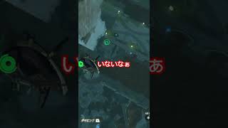 #ゼルダの伝説ティアーズオブザキングダム  神殿いくのにシドを置いて来てしまい探しに行くリンク