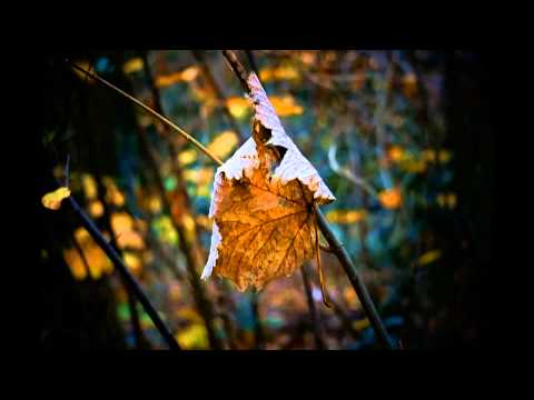 texel 2012 genieten van rust stilte natuur