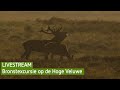 Bronstexcursie op de Hoge Veluwe | BuitenGewoon