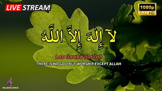 LAILAHAILLALLAH Dhikr for Relaxation, Calm and Easy Sleep #3