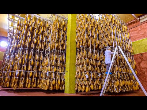 Black Pig Farm in the Forest | The World's Most Expensive Ham | Black Pig Ham Factory