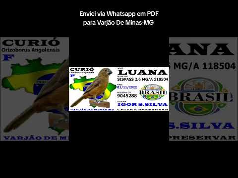 Enviei via Whatsapp em PDF para Varjão De Minas-MG 🔥🫅