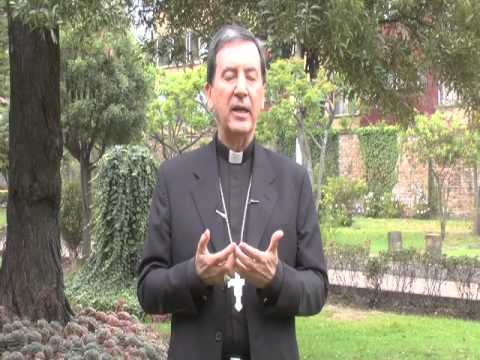 Reflexión Domingo 7 de octubre de 2012