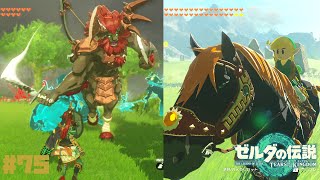 【ティアキン】初ライネル戦！巨馬・白馬・ラムダの財宝GET！ #75【ゼルダの伝説ティアーズオブザキングダム】