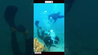 #Shorts #Vietnam #Travel #Nhatrang #Scubadiving - Lặn b&igrave;nh kh&iacute; H&ograve;n Mun - Nha Trang