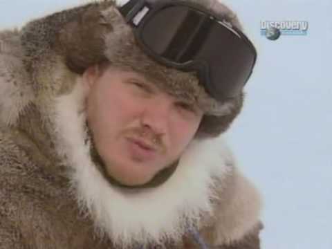 Выжить любой ценой в сибири. Выжить в сибири шоу. Выжить любой ценой в сибири. В изоляции телепередача кадры. Тайга курс выживания.