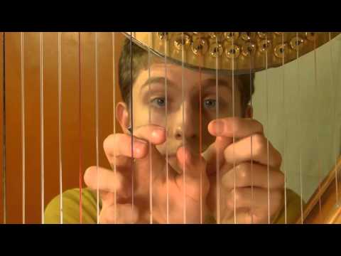 One Man, One Harp, Nine Hands (And Viola): A Gerudo Valley Cover