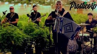 Los Desvelados: Los Empacadores 2018