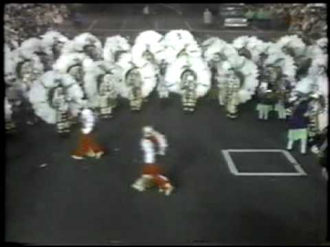 Greater Kensington String Band 1984- Swashbuckling Showmen