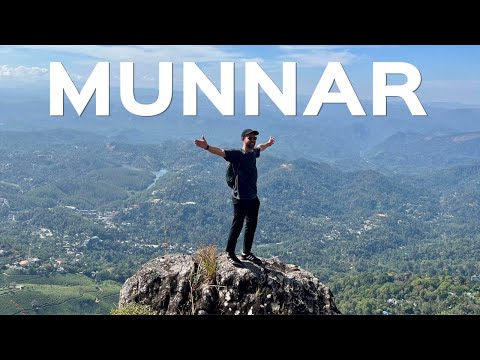 Natur pur! Munnar wird dich verzaubern – Jeep Safari & Wandern im Hochland Südindiens 🇮🇳