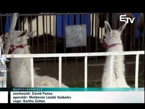 Híradó 2015. április 6. – Erdélyi Magyar Televízió