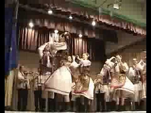 Ansamblul Profesionist DANUBIUS Mehedinti -