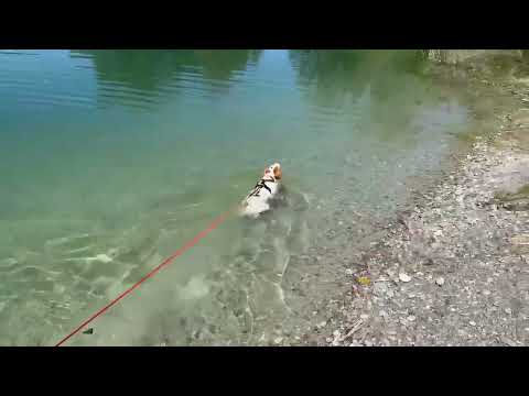 Hanna macht ihr Seepferdchen