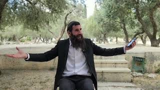 הרב מרדכי אליהו זצ"ל אומר למה באות צרות על עם ישראל!! | הרב אלישע וולפסון  (ישיבת הר הבית) - התמונה מוצגת ישירות מתוך אתר האינטרנט יוטיוב. זכויות היוצרים בתמונה שייכות ליוצרה. קישור קרדיט למקור התוכן נמצא בתוך דף הסרטון