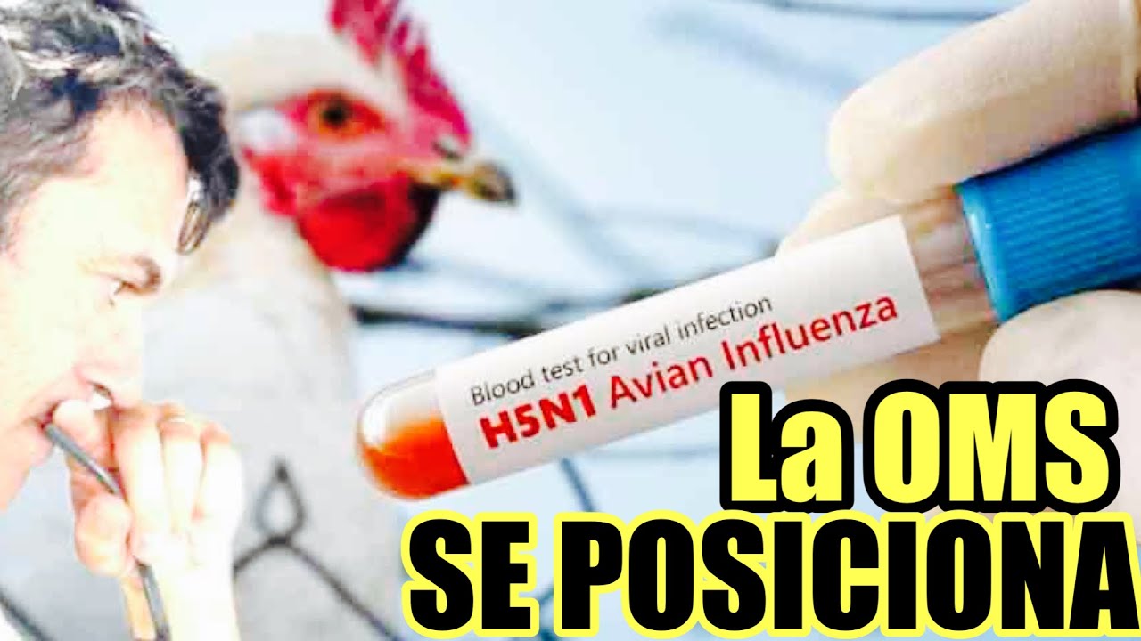 A que no te imaginas que recomienda La OMS? Si existira habría que inventarla!