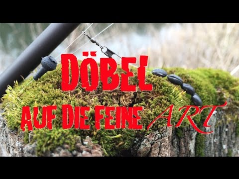 Döbel angeln extrem spannend: Spürangeln oder Touch Ledgering