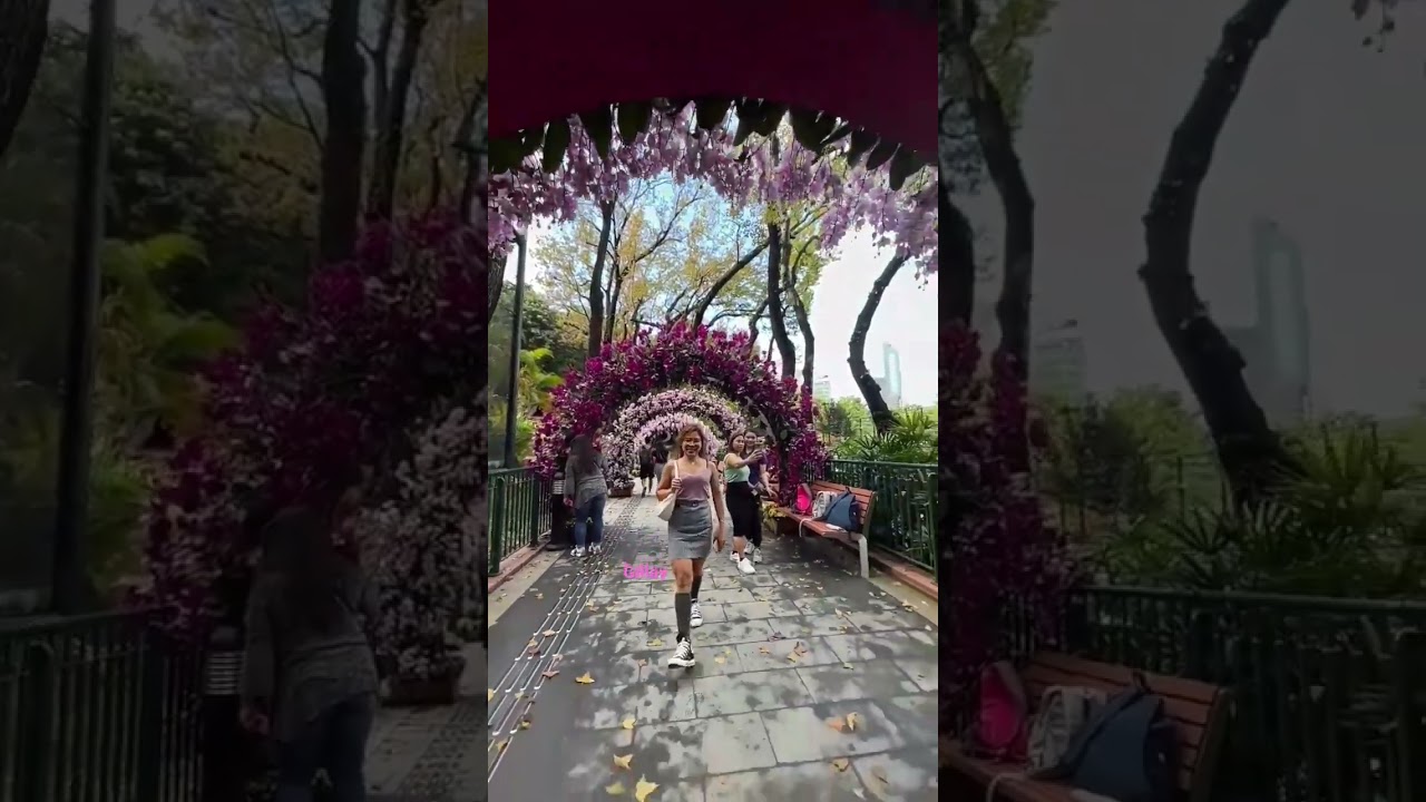 YouTube Short thumbnail