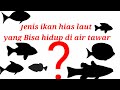 Ikan Hias Laut Yang Bisa Hidup Diair Tawar